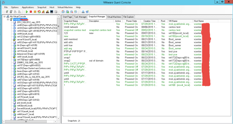 как массово удалить snapshot vmware. VMware Guest Console screen Snapshot Manager