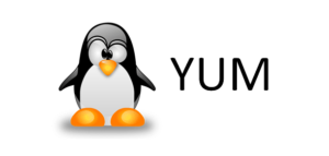 Установка пакетов в Linux